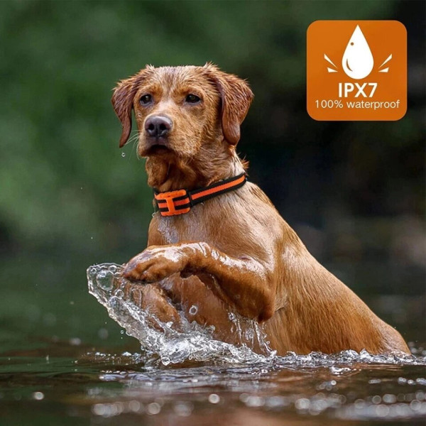 Електронашийник для навчання та тренувань собак водонепроникний клас ipx7 колір червоний
